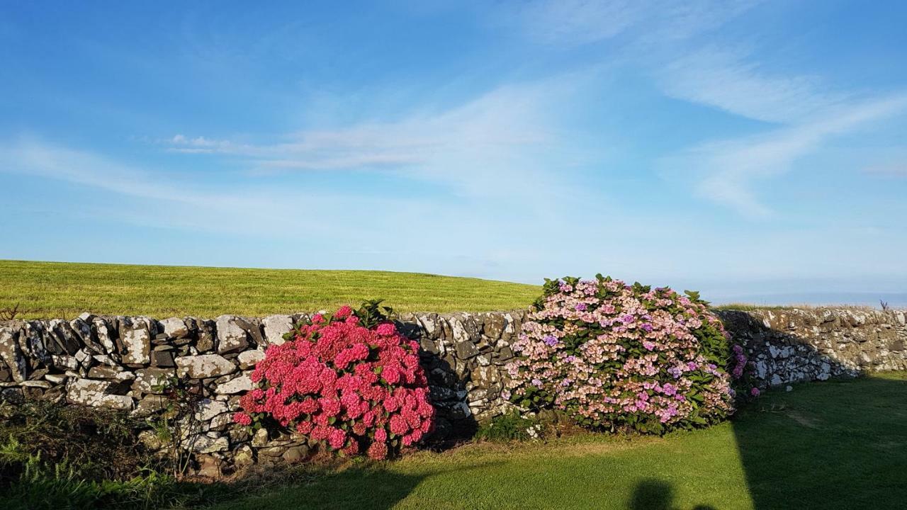 31 Laigh Isle Villa Isle of Whithorn Dış mekan fotoğraf